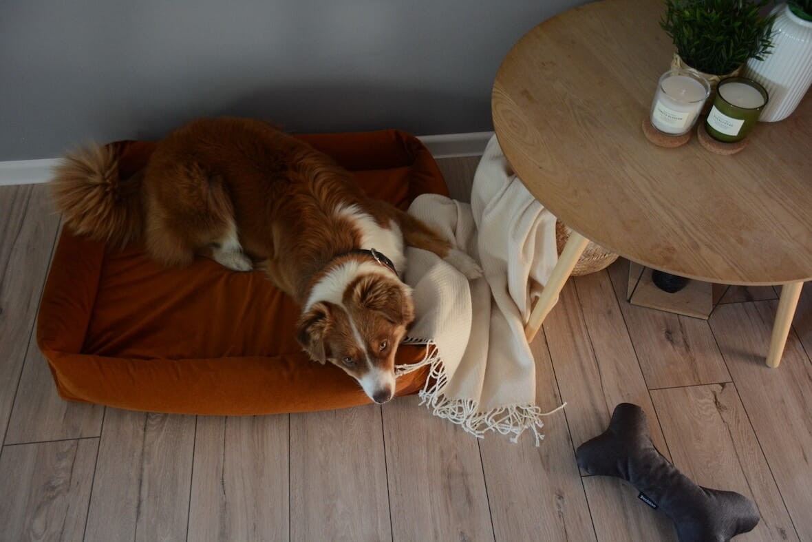 legowisko ortopedyczne dla psa rude