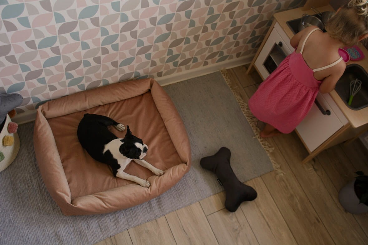 legowisko ortopedyczne dla psa pudrowy róż